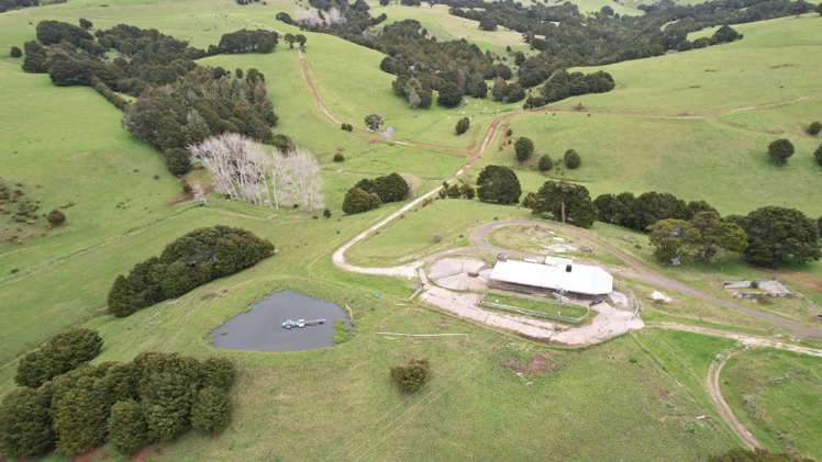 4283 State Highway 12 Dargaville Surrounds_9