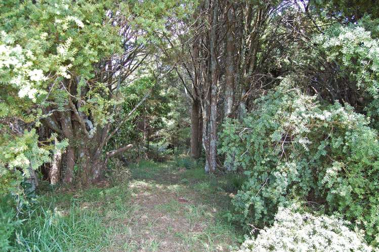 112 Tawa Avenue Kaiwaka_11