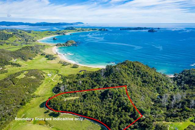 Lot 2, 125 Roimata Lane Whananaki_1