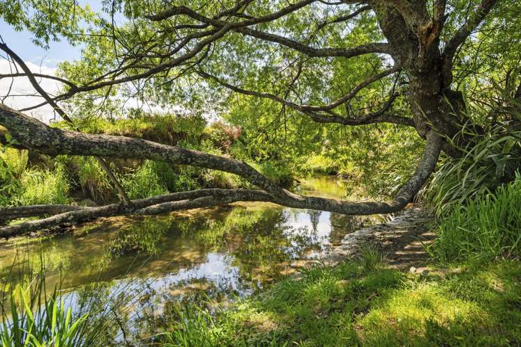 39B Aquarius Drive Kawaha Point_17