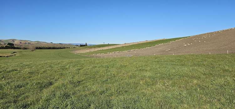 565 Bushy Park Road Waikaka_20