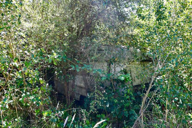 9 Nikau Heights Little Wanganui_5