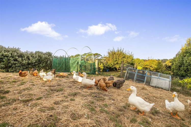 24b Bethells Road Waitakere_20