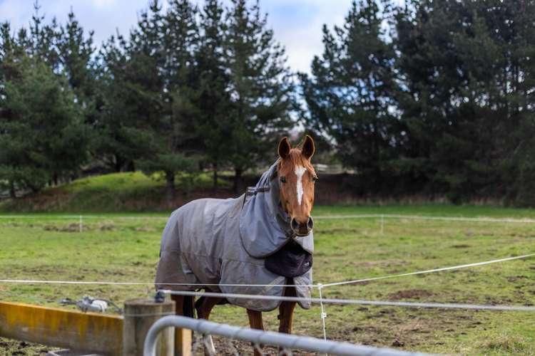 45, 49 and 51 End Farm Road Waikanae_12