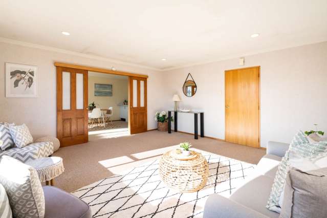 44 Burgess Street Green Island_1