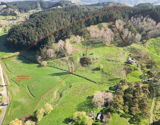 10.6ha in fabulous Papaiti