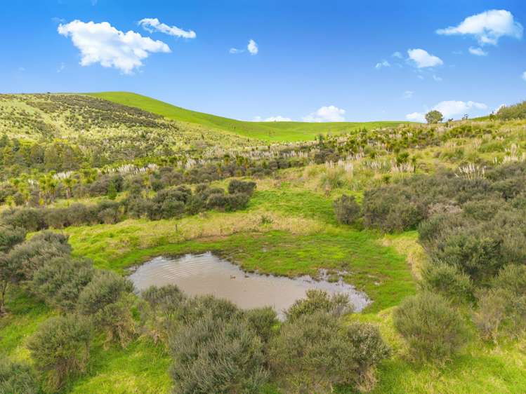 Te Kowhai Road Matakohe_24