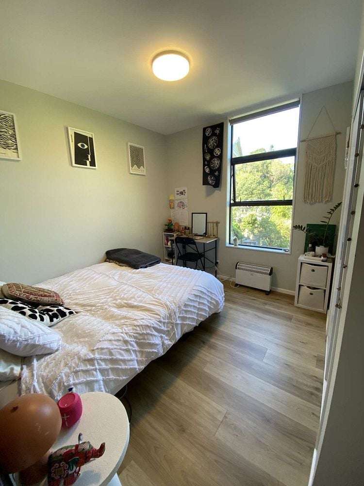 13C Adams Terrace Aro Valley_10