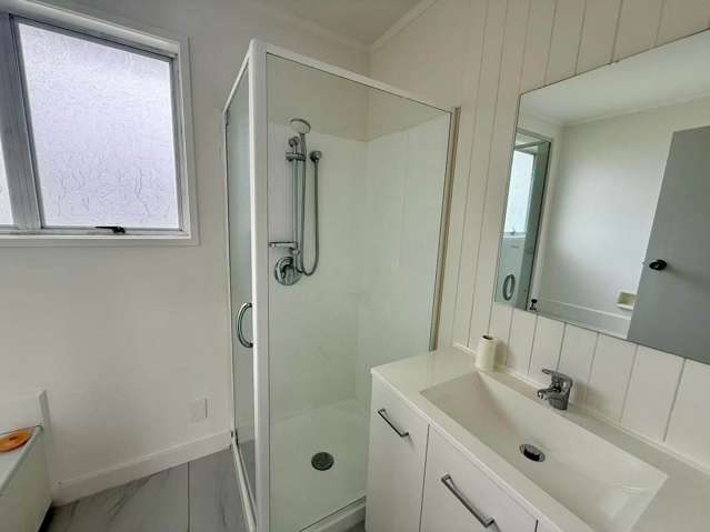 10 Athenic Avenue Lynfield_4