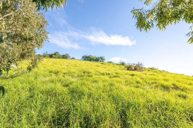 99 Carmen Way Ohauiti_18