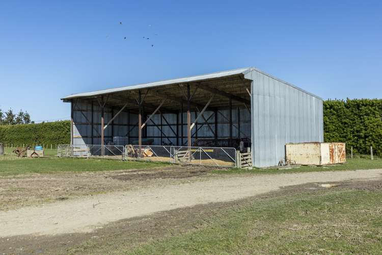 289 Anama Settlement Road Mayfield_3