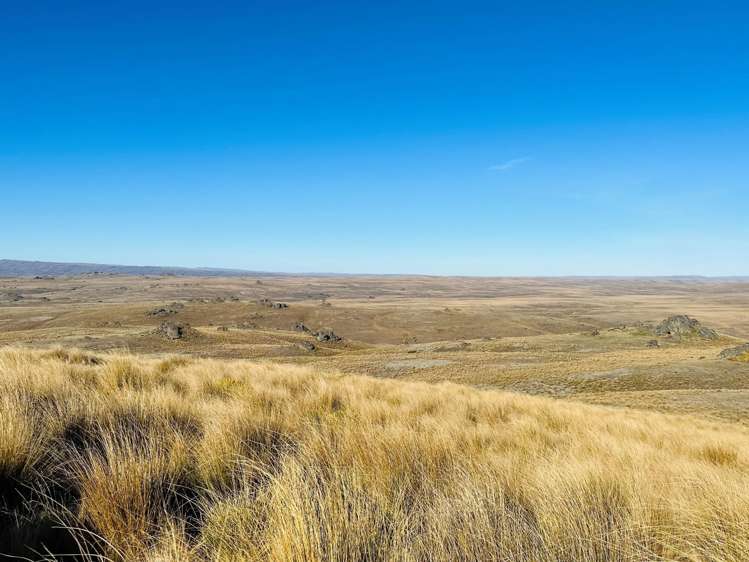 1109 Little Valley Road Alexandra_15