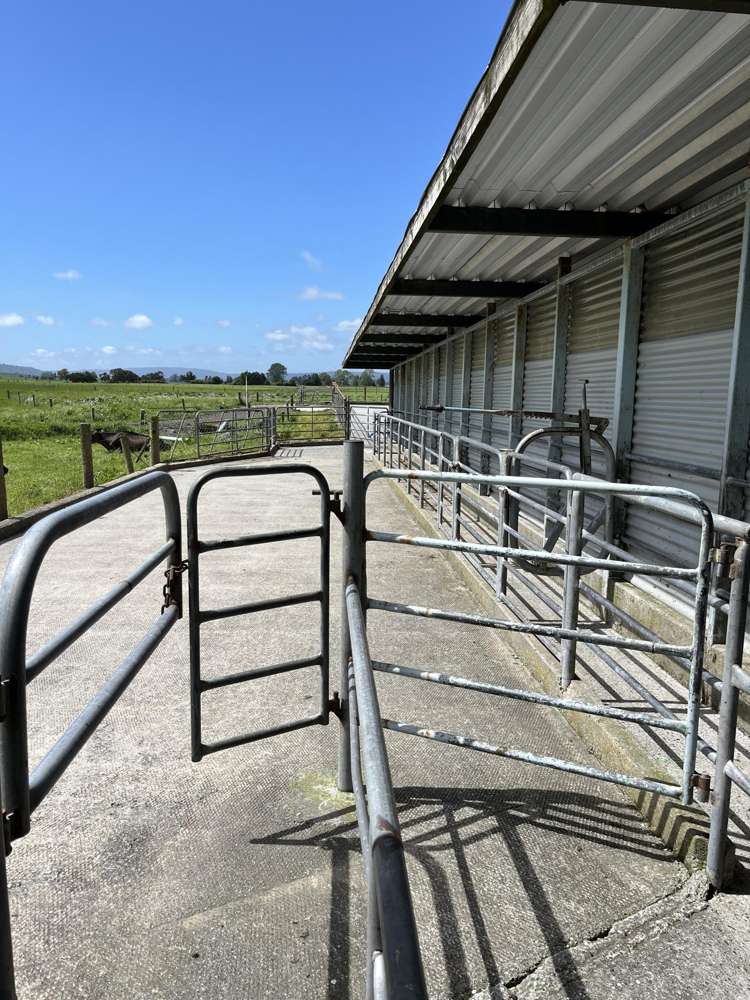 28 Stopbank Road Kowhitirangi_8