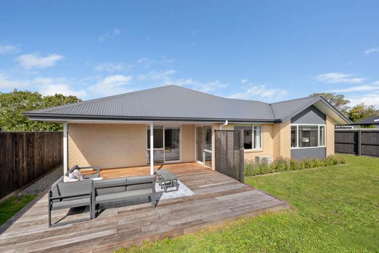 81B Havelock Street Renwick_5