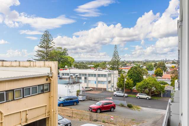 2k/3 Keystone Avenue Mount Roskill_3