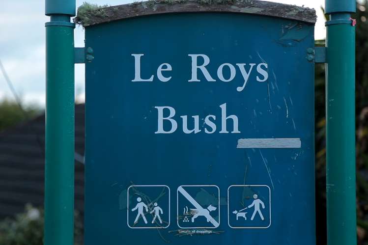 5/238 Onewa Road Birkenhead_15