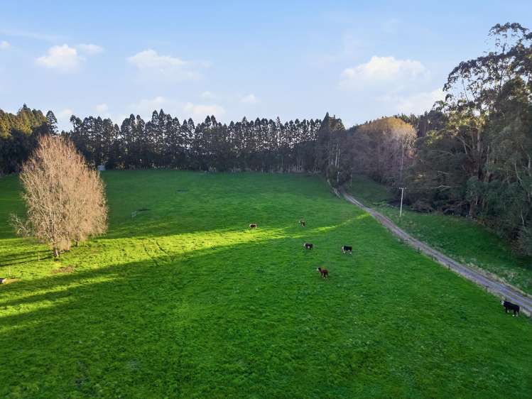 139 Te Puea Road Tikitere_36