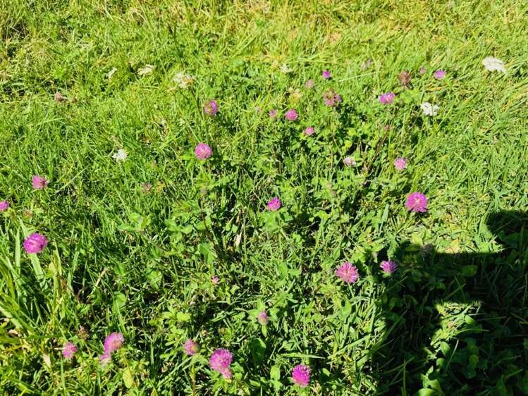 4675B Far North Road, Waihopo Houhora_26