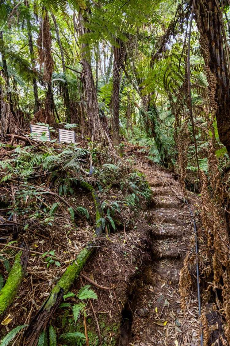 1694a Queen Charlotte Drive Linkwater_18