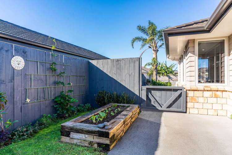 18 Roto View One Tree Point_22