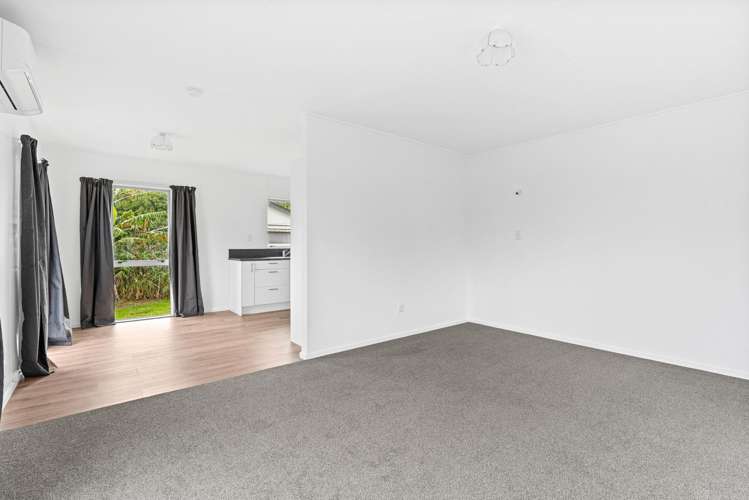 9 Guy Avenue Levin_5