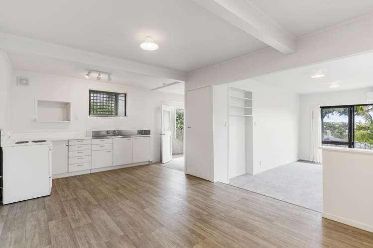 20 Western Springs Road Morningside_11