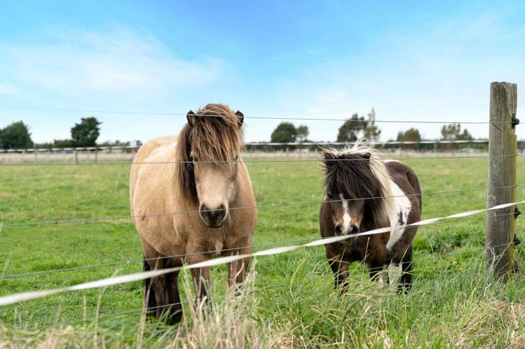 664 Depot Road Oxford_19