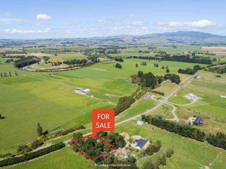 145 Hikunui Road Kahutara_15