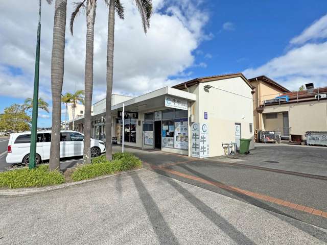 Unit B12/345 Chapel Road Flat Bush_4