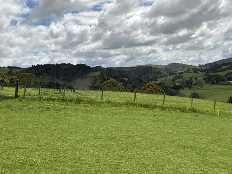 Lot 2/DP385487 Poyner Road Tahekeroa_10