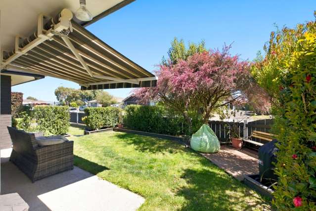 49A Lotus Avenue Mt Maunganui_2