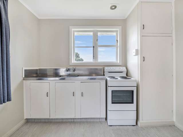 614 Featherston Street Roslyn_4