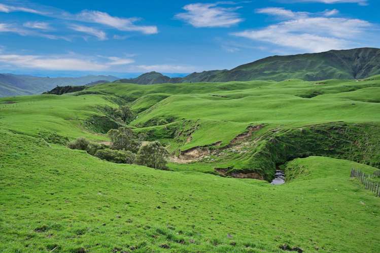 439 Rakauroa Road Matawai_13