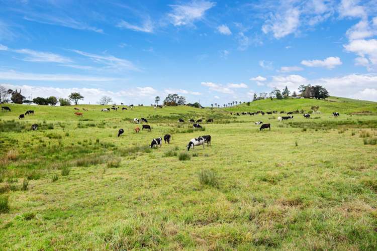 Lot 1&2/79 Tavinor Road_3