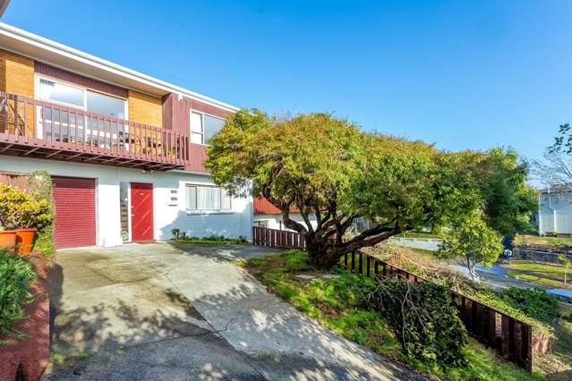 44c Marriott Road Pakuranga_1