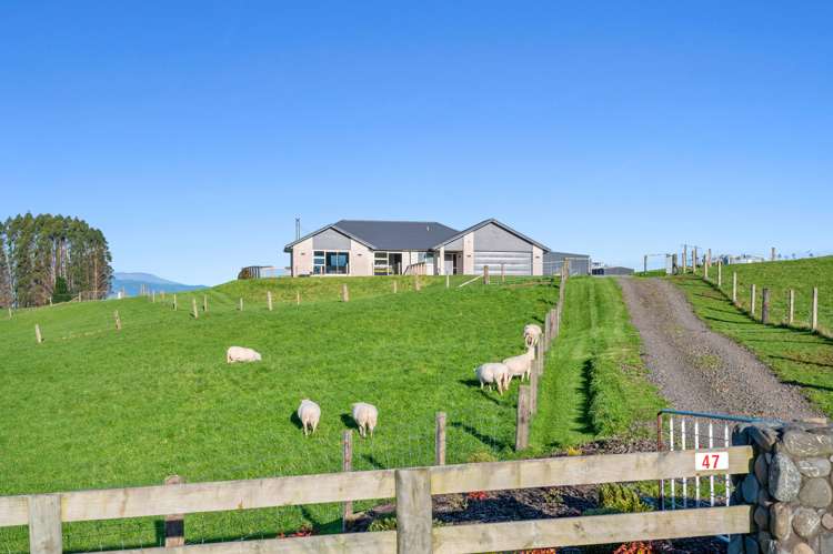 47 Todd Duncan Drive Hamurana_9