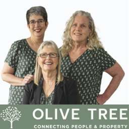 Olive Tree Team