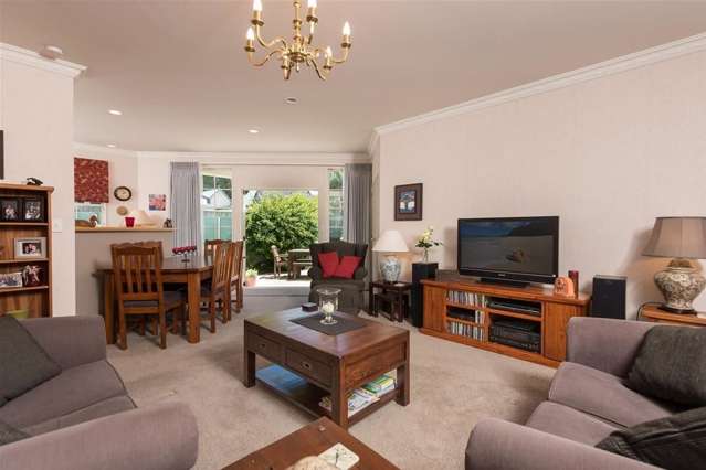 36b Fourth Avenue Tauranga Central_2