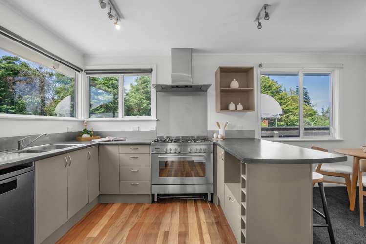 61 Black Beech Street Birchville_9