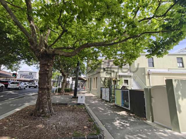 Ground Floor/185 Ponsonby Road Grey Lynn_3