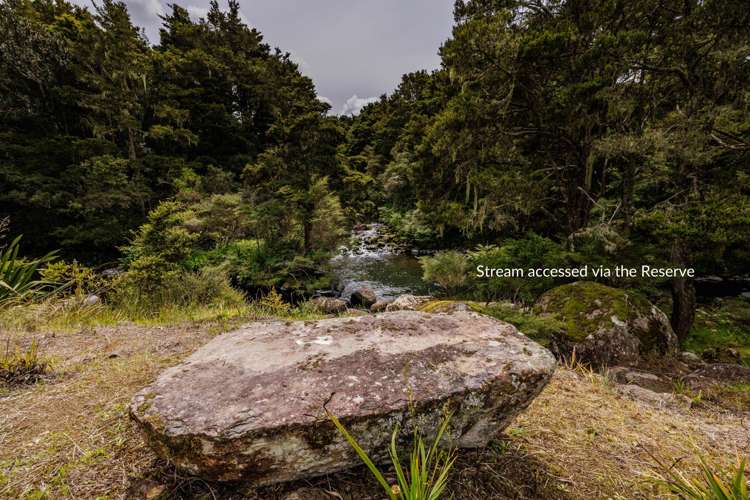 43Z Blue Gum Lane Kerikeri_23