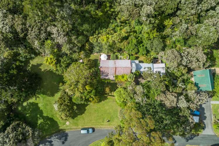 62 Chatham Avenue Paremoremo_20