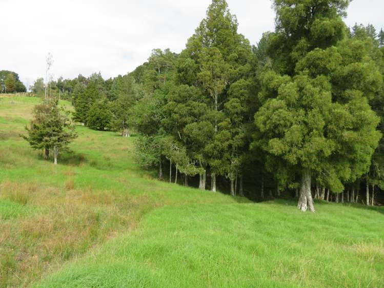 285 Peria Road Peria_6