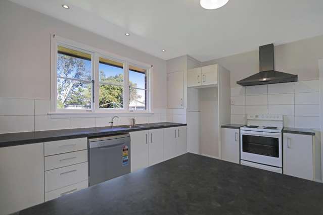 14 Willow Street Hampstead_2