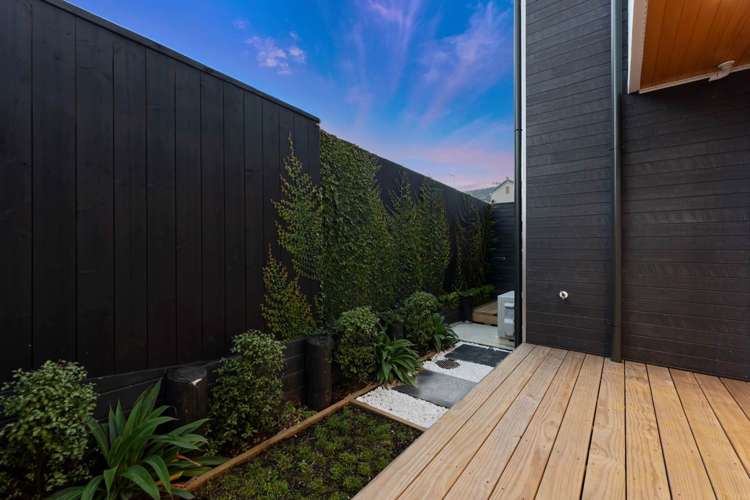 3 Campbell Road Takapuna_25