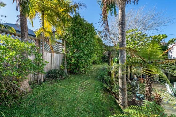 2/116 Maskell Street St Heliers_9