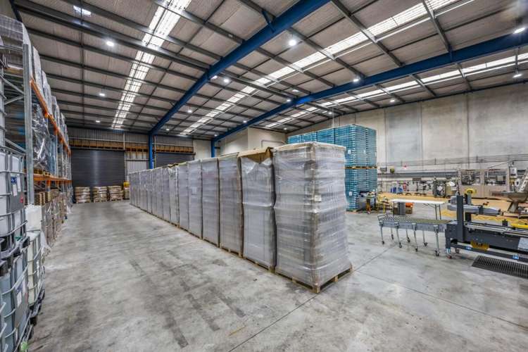 523 Rosebank Road Avondale_6