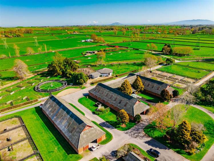 122 Rotoorangi Road Cambridge_9