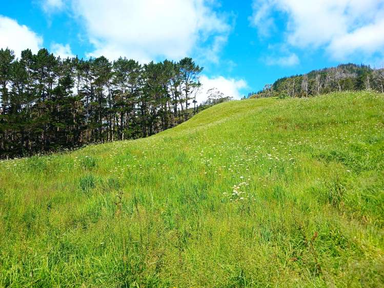 Lot 0 Te Rore Road Kaitaia_30