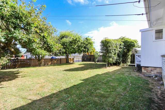 72 Webster Avenue Mount Roskill_3